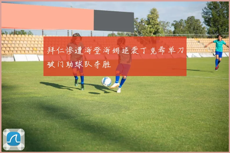 拜仁惨遭海登海姆逆袭丁克希单刀破门助球队夺胜